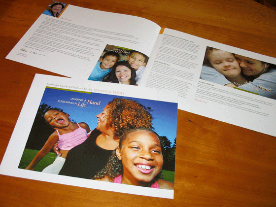 cfcs annual report